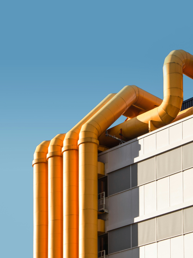 owner of paint blue matt callero